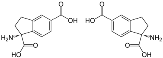 Struktur von Aminodihydroindendicarbonsäure