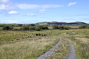 A view across Cors Erddreniog, Anglesey, Wales