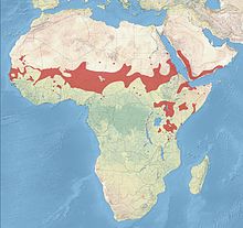 African Silverbill Distribution.jpg