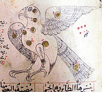 Aquila. Ibn al-Ṣūfī, p. 31