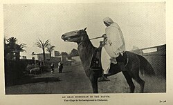 Фотография 1911 года для арабского всадника в Файюме на фоне Эбшавай.