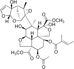 Structure of Azadirachtin, a terpenoid produced by the Neem plant, which helps ward off microbes and insects. Many secondary metabolites have complex structures Azadirachtin.png