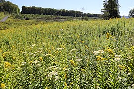 Blackwater View Trail