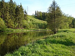 Borovinský rybník