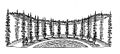 Die Gartenlaube (1859) b 235_1.jpg Ein Laubengang von Weinreben