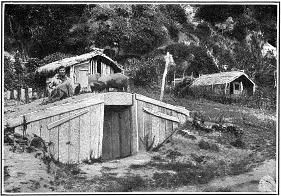 Two wooden houses in the background with a wooden shed dug into the ground. There is a woman on the roof of the shed with two pigs.