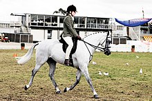 A young rider at a horse show in Australia Horse riding in coca cola arena - melbourne show 2005.jpg