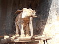 Kaliyugavarathar Temple Elephant