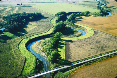 Filter strips (light green) separate agricultural fields from a natural stream in the U.S. state of Iowa NRCSIA99613 - Iowa (3861)(NRCS Photo Gallery).tif