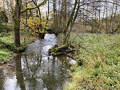 Deilbach an der ehem. Deilbachmühle