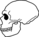 Neanderthalensis Skull.png