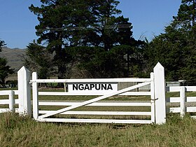 Ngapuna