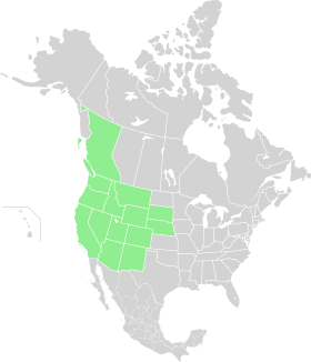 Range of L. forensis [2]