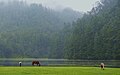 Lagunas de Zempoala Clima oceánico de tierras altas (Cwb)