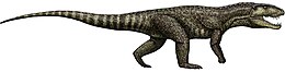A Postosuchus kirkpatricki rekonstrukciója