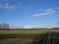 Ruhland, Viehkoppel nördlich der Jägerbrücke, Blick vom Ende der Buschreihe nach Nordost, Winter; hinten die Baumreihen auf den Elsterdeichen, davor Feldgehölze und rechts die Autobahnraststätte; Am Buschgraben (Flurname), hinten An der Schwarzen Elster (West); früher (alte Flurnamen) links In den Buschwiesen, rechts Filzenwiese, dahinter Auf der Horst, hinten rechts Großer Koltschen