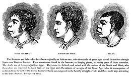 A late-19th-century illustration by H. Strickland Constable shows an alleged similarity between "Irish Iberian" and "Negro" features in contrast to the higher "Anglo-Teutonic". Scientific racism irish.jpg