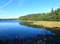 Vy över Vårgärdssjön och reservatets västra del.