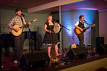 The Once performing at Woody Point in 2012