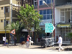 Street in Weldiya