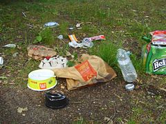 Des détritus abandonnés dans la forêt.