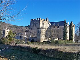 Image illustrative de l’article Château d'Allemagne-en-Provence