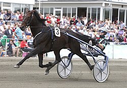 Beanie M.M. & Johnny Takter 2012.jpg