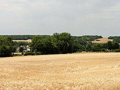 Le chemin des Carrières.