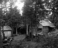 La sucrerie (cabane à sucre) R. W. Stiles, de Mapleton, vers 1924.