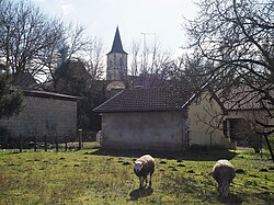 Skyline of Castagnède