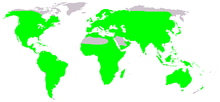 Anoura extension (in verde)