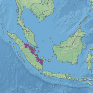 Ecoregion territory (in purple)