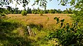 Binnendünen im FFH-Teilgebiet Idstedt-Osterfeld