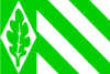 Flag of Vriezenveen