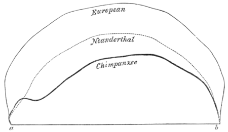 Geological Evidences of the Antiquity of Man Fig. 4.png