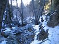 Along the Icehouse Canyon Trail