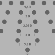 Proportion of column diameter to intercolumnium.