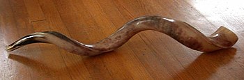 English: A Temani (Yemeni Jewish) style shofar...