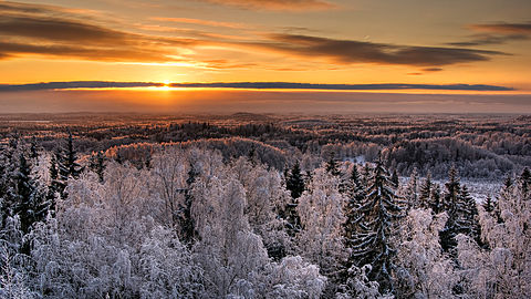 Parc national de Karula. Vue de la tour de Rebasemõisa.