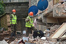 Two people and a dog on top of rubble.