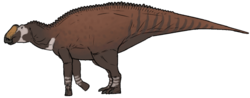 Miniatura para Kritosaurus navajovius