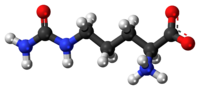 citrulline