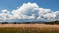 Large cloud over Mexican landscape. Large cloud over Mexican landscape.jpg