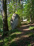 Menhir beim Mair in Ums