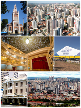 Een collage van Ribeirão Preto