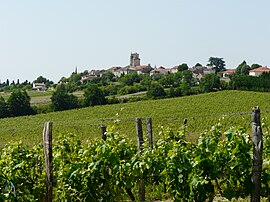 A general view of Montagnac-sur-Auvignon