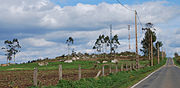 Monte Enxameado 43°7′5.49″N 8°4′6.67″O﻿ / ﻿43.1181917, -8.0685194﻿ (Monte Enxameado)