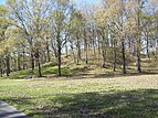 Mound A, der größte Mound in Poverty Point