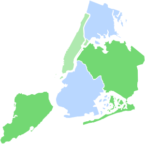 NYC Mayoral Election 1950.svg