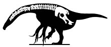 Nanshiungosaurus.jpg